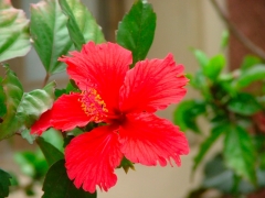 Beauty...