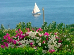 Beauty...