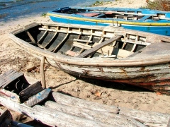 Fishing boats....