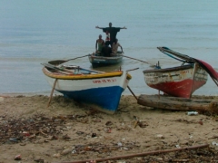 Fishing boats...