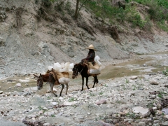 Transporting water...